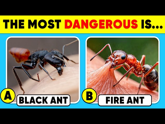 How Good Is Your Knowledge of Insect? 🐜🐝😱 General Knowledge Trivia Quiz