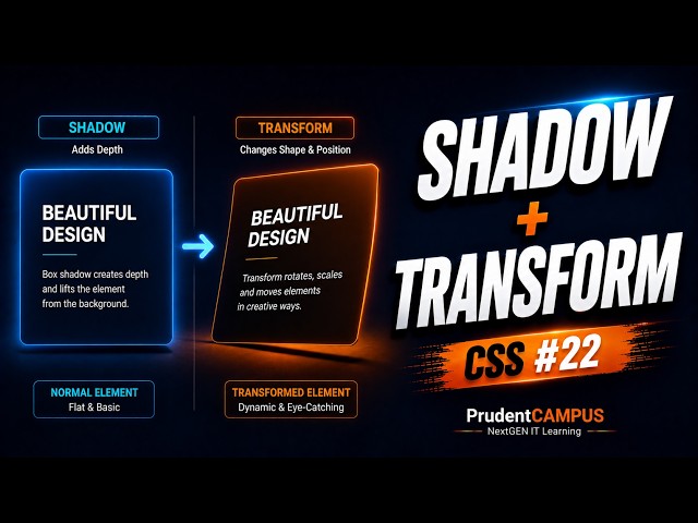 CSS #22 — Shadow & Transformation