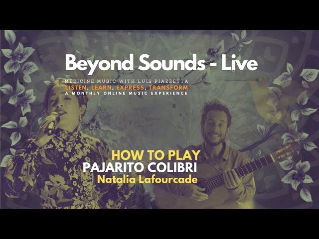Learn Pajarito Colibrí – Guitar & Voice Lesson (Medicine Music Tutorial + Natalia Lafourcade )