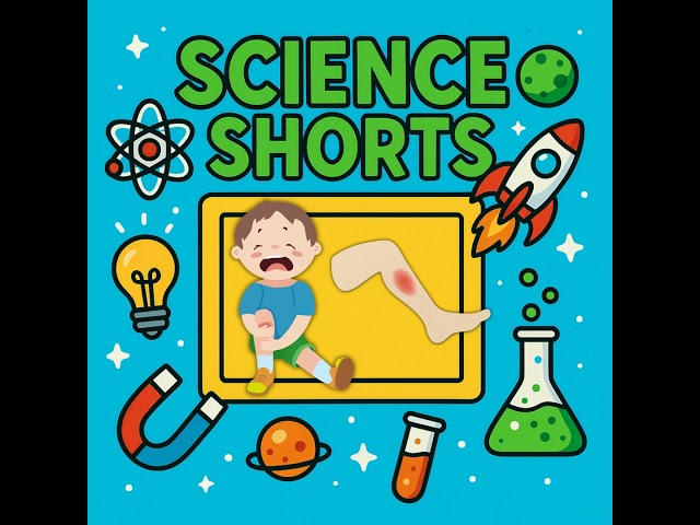 Why do bruises change colour? Science Short