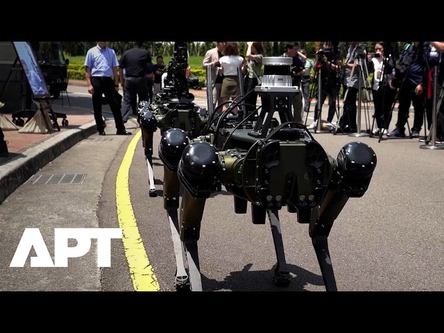 Taiwan Unveils Armed AI Robot Dogs for Maritime Defence | APT