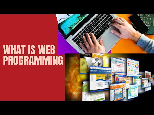 What is Web Programming