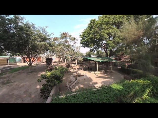 Peru - Lima - Parque de las Leyendas 10