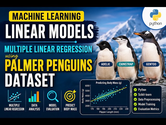 Machine Learning Linear Models | Multiple Linear Regression using Palmer Penguins Dataset | Python