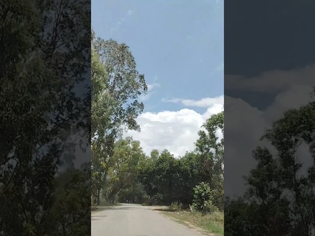 When nature accompanies the journey, every mile feels beautiful. @amsa.timelesswisdom