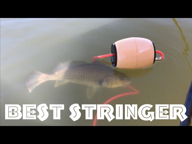 ✅Best Fish Stringer 🐠by ForEverlast | G2 Pro Fish Stringer 15' | How to Use a Fish Stringer?