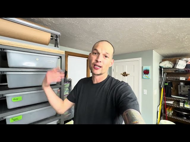 Reptile Basics:  Understanding heat dynamics in yours snake rack #ballpython #boaconstrictor