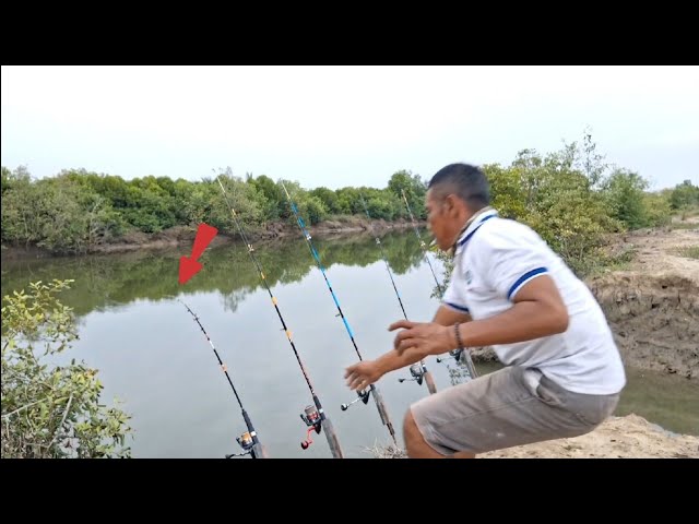 PETUALANGAN ,,! JELAJAHI SPOT MANCING IKAN PREDATOR MANGROVE. #FISHING 