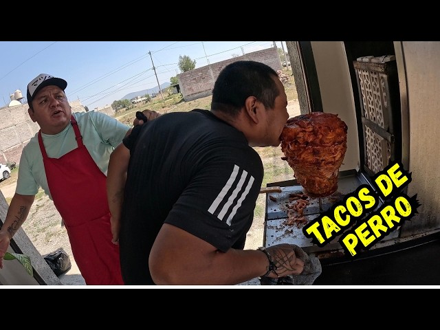 I brought a dog to a taco shop (PRANK)