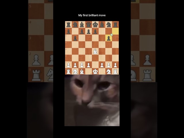 Did he miss something? #meme #chess #scacchinciabatte #inciabatte #chessviral #foryou #chessshorts