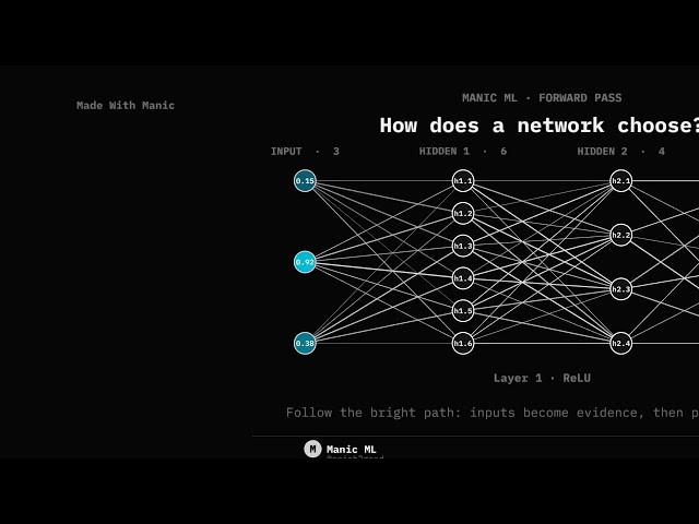 How a Neural Network Chooses — Follow One Real Forward Pass in Manic