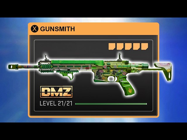 Is This DMZ Gun Better Than You Think?!