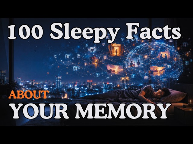 How Does Your Brain Sort Memories While You Sleep? Calming Mind Facts to Fall Asleep Fast