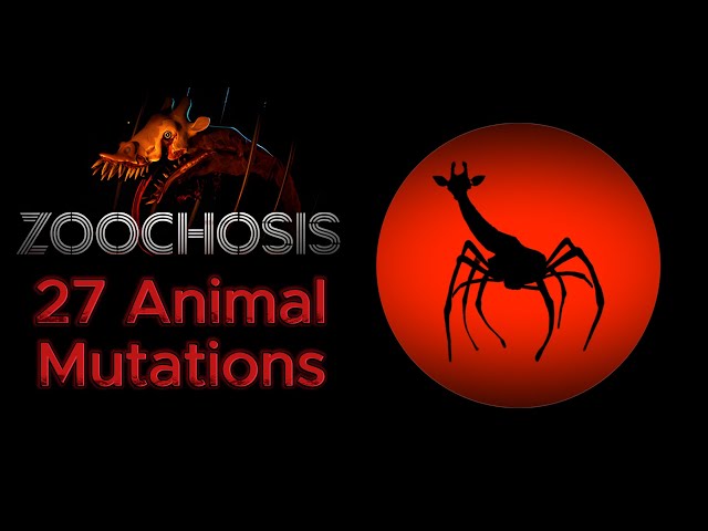 Zoochosis: TOP 27 transform