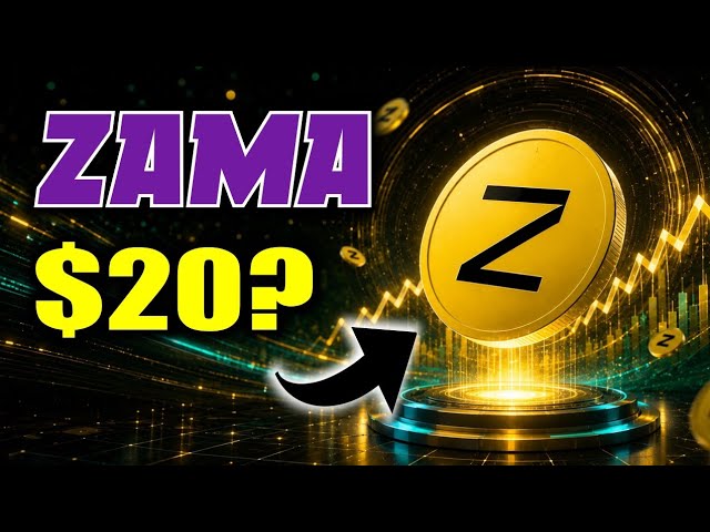 Why ZAMA is up 🤩 ZAMA Crypto Token Analysis!