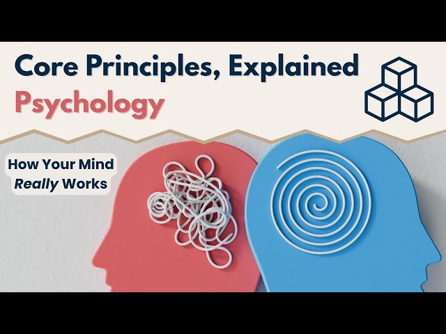 The Psychology Behind Your Everyday Behavior