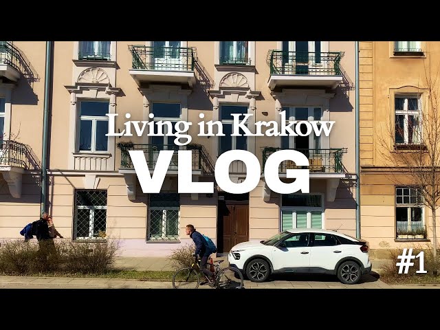 My First Vlog | Designer's Life, Walks, Shopping, Running & Korean Cooking 🍜🐶