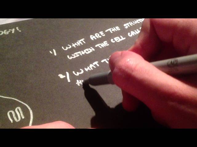 Basic Biology Questions 01 [ASMR]