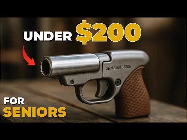 Top 10 Guns Perfect for Seniors – Easy to Shoot, Hard to Beat (All Under $200!)