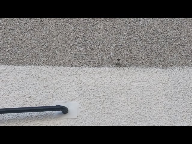 How to paint on a pebble dashed wall / rendered wall