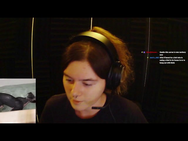 just chatting