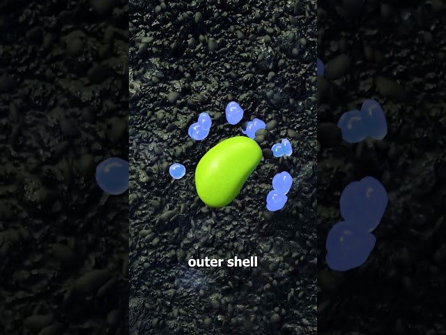 How A Seed Grows Into A Plant 😯