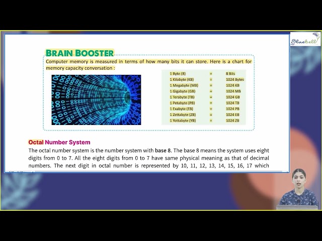 Ch 1 | Bluebell publication | Computer | Class 7 | The Number System | For children