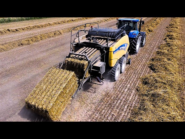 BALING WHEAT STRAW 2026 NEW HOLLAND BIG BALER 1290 PLUS NEW HOLLAND T7.270