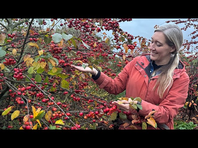 Floret Farm Tour: Why We Wait to Clean Up the Garden