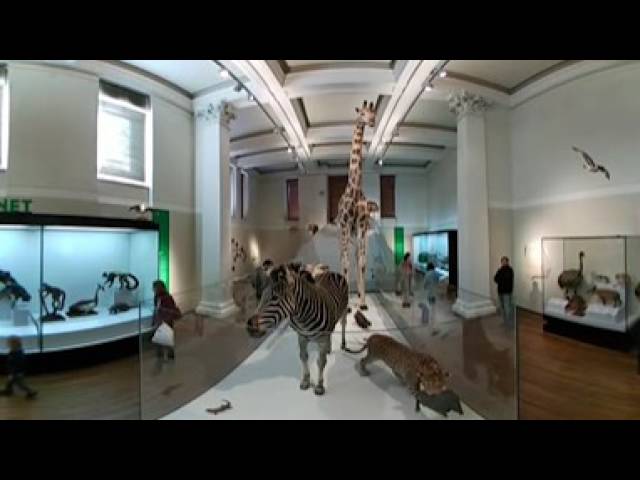 Make 4K 360 Videos With Your LG 360 Cam Part 1