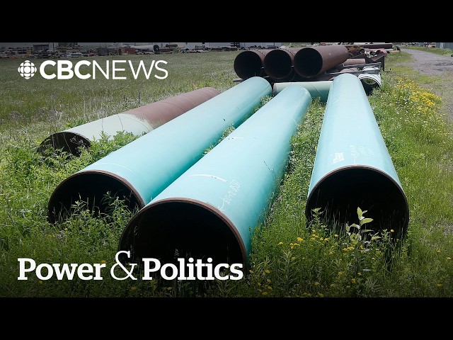 How viable is the Keystone XL pipeline to the U.S.? | Power & Politics