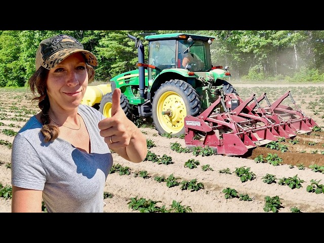 We Finally Start Hilling Potatoes! 2026