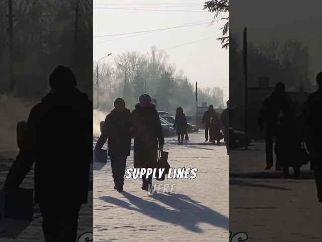 This One Mistake Lost the Entire War!  #knowledgenuggets #facts