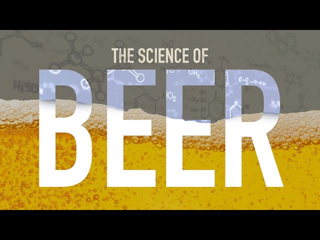 How is Beer Made?
