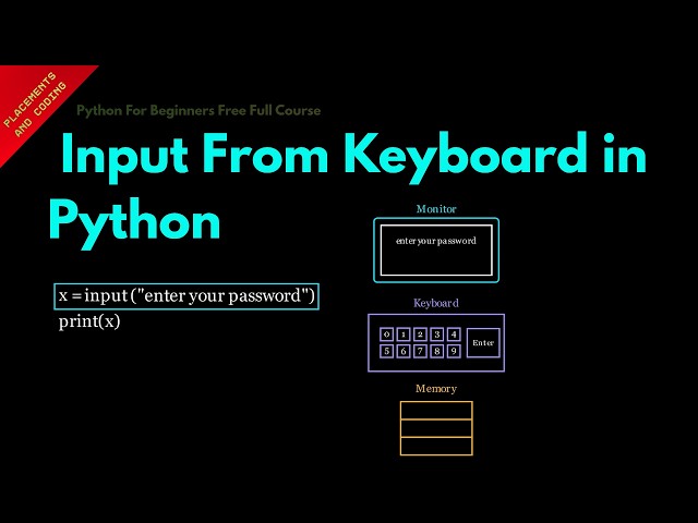 Input From Keyboard in Python || Lesson 29 || Python For Beginners ||