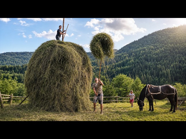 Three Generations and a Horse Raise a Traditional Hay Stack in the Carpathians
