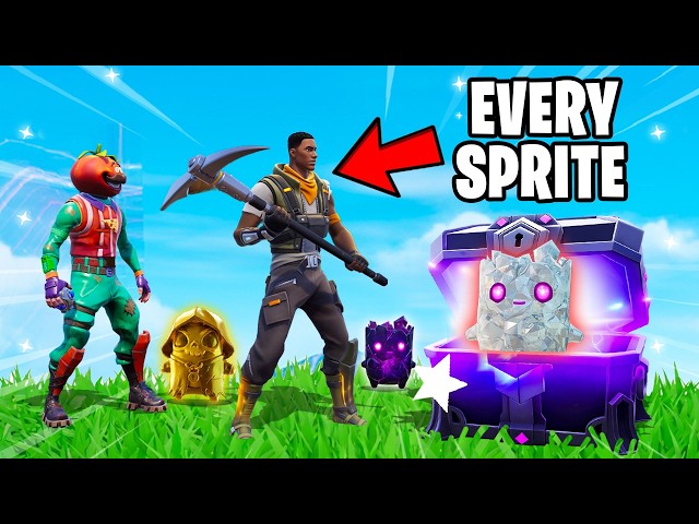 I Hired a Professional Sprite Hunter in Fortnite