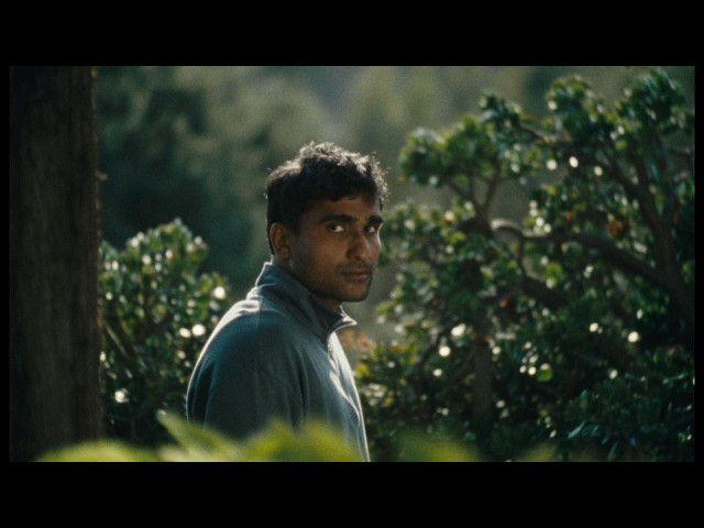 Blush - Prateek Kuhad | Official Music Video