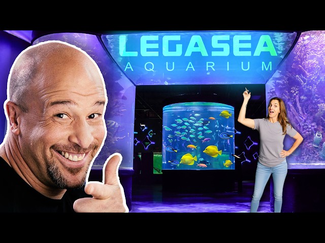 Brett Raymer's Honest Review of Legasea Aquarium!