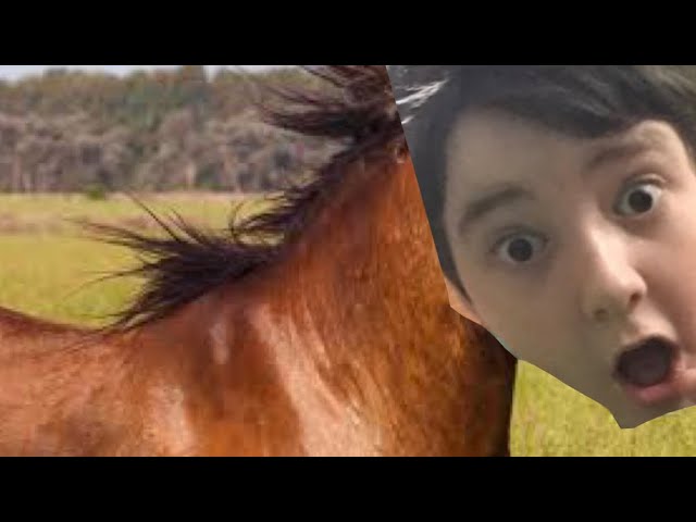 Drinking Vomit (Caught On Camera)