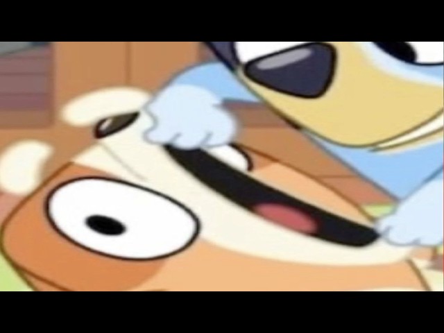 Top 5 Bluey