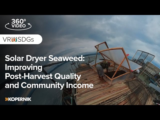 Solar Dryer Seaweed: Improving Post-Harvest Quality and Community Income