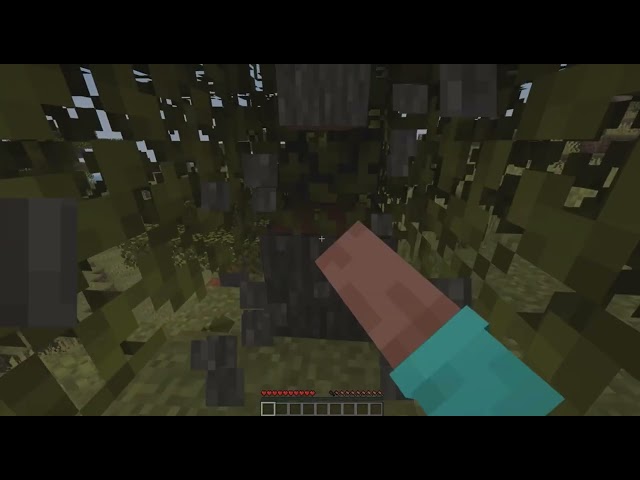 Minecraft but if I breathe I get ripped in half 