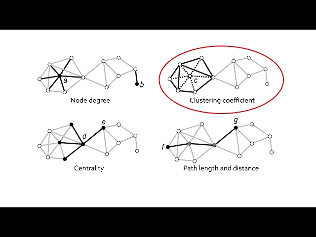 Applying network science to better understand anesthetic drugs