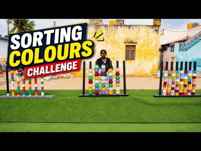 🧠 Brain vs Tough Colour Sorting Puzzle! || Village Avengers
