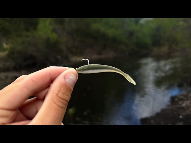Micro Fishing a Tiny Creek for Big Fish!
