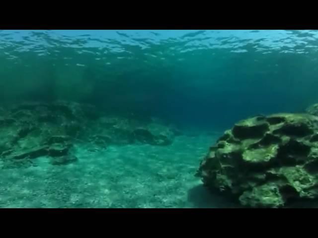 Getting in for a freedive with 360bubble