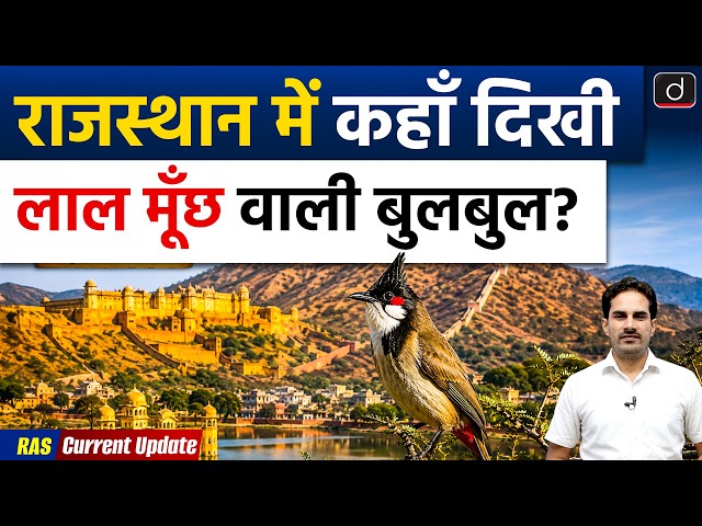 Rare Red Whiskered Bulbul Found in Bharatpur | Keoladeo National Park | Drishti RAS