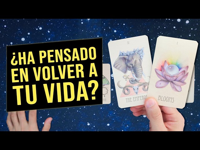 Have They Thought About Coming Back Into YOUR LIFE? - Interactive Tarot