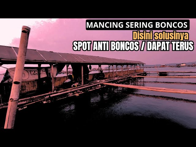 HERE ARE THE TOP FISHING SPOTS THAT NEVER FAIL | 100% GUARANTEED CATCH | FISHING MANIA